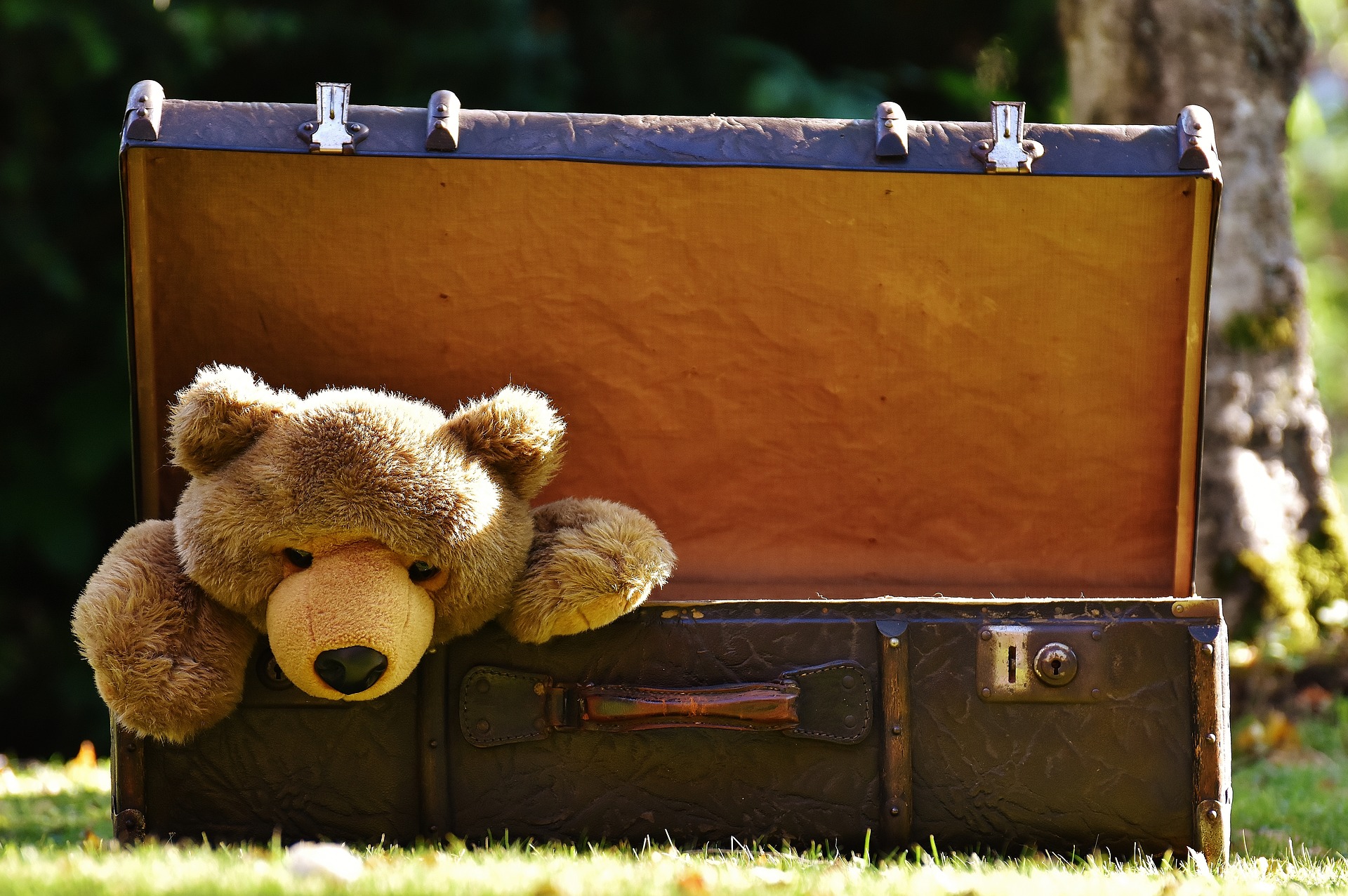 Preview for Teddy-bear-suitcase-scene-luggage-background-55925