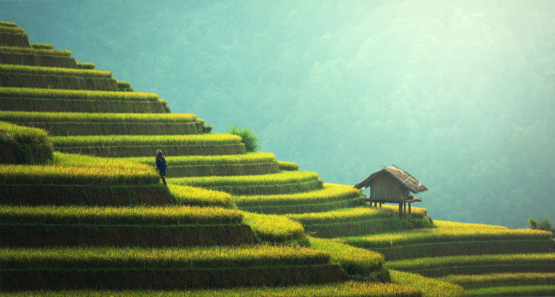 Preview for Serene-rice-terraces-landscape-agriculture-background-dac54