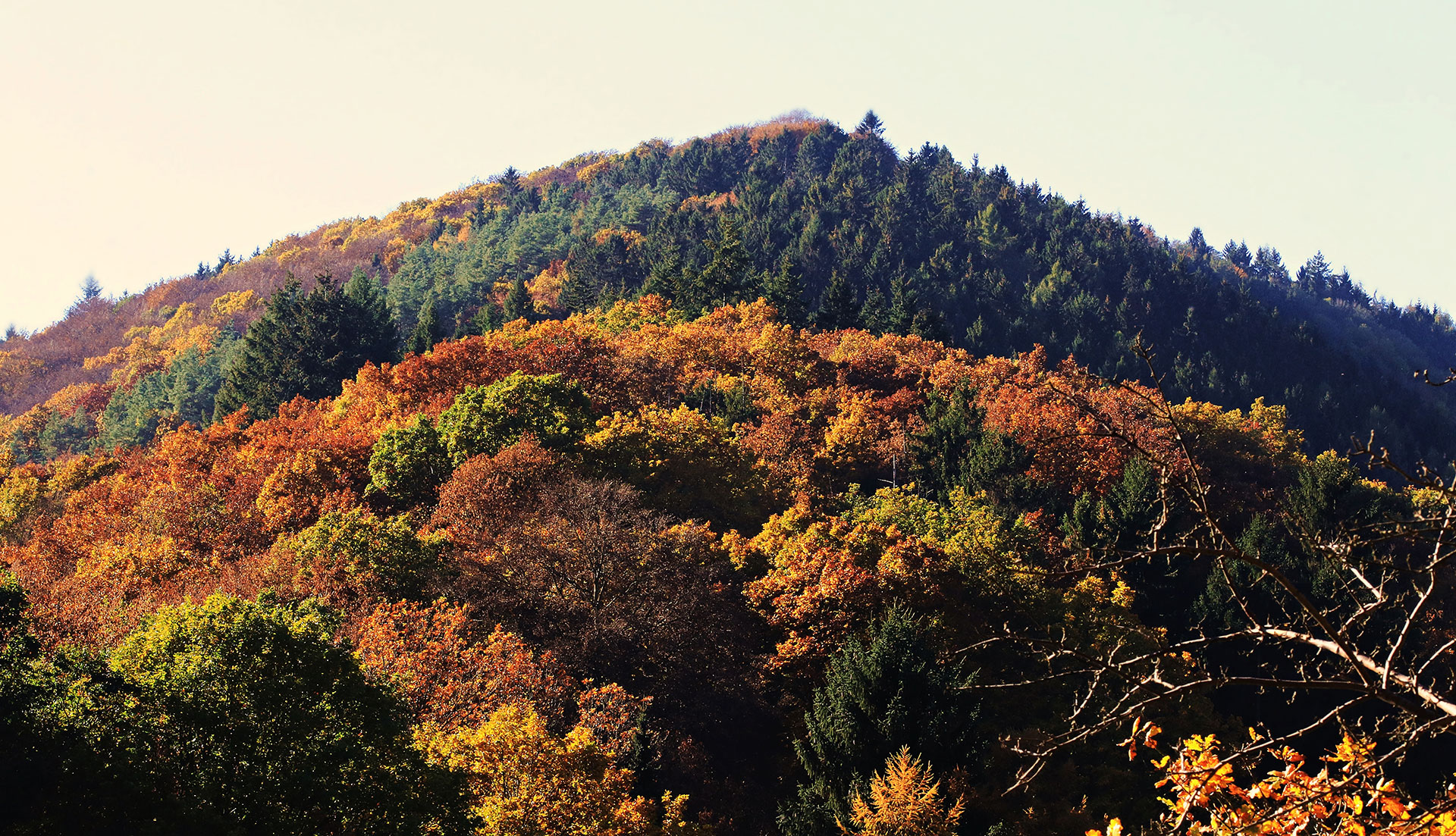 Preview for Autumn-mountain-landscape-bush-background-6177e