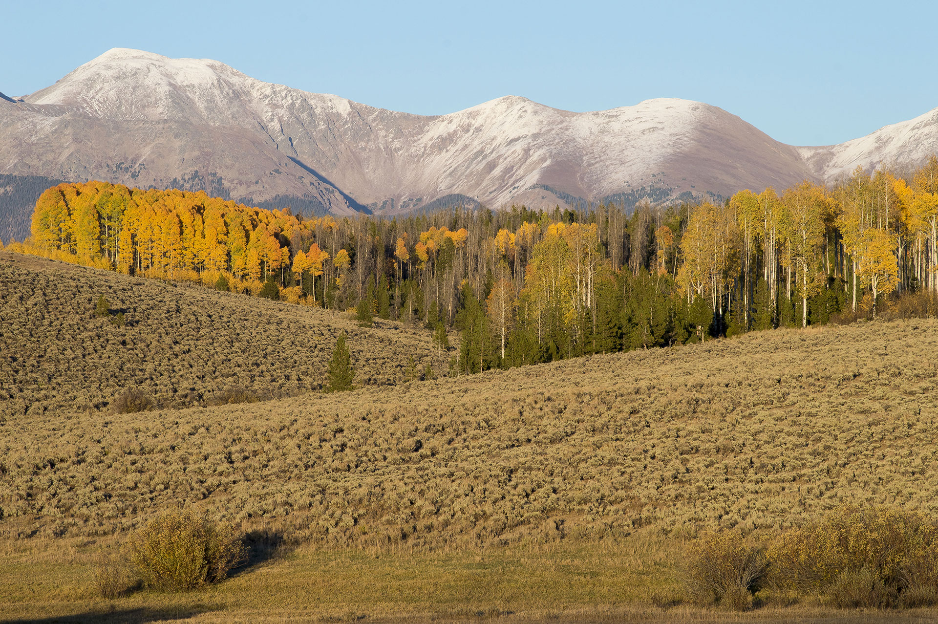 Preview for Snowy-mountains-autumn-landscape-conifer-background-822e9