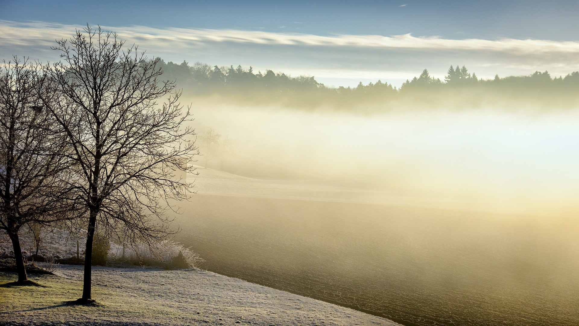 Preview for Misty-morning-landscape-fog-background-7aea5