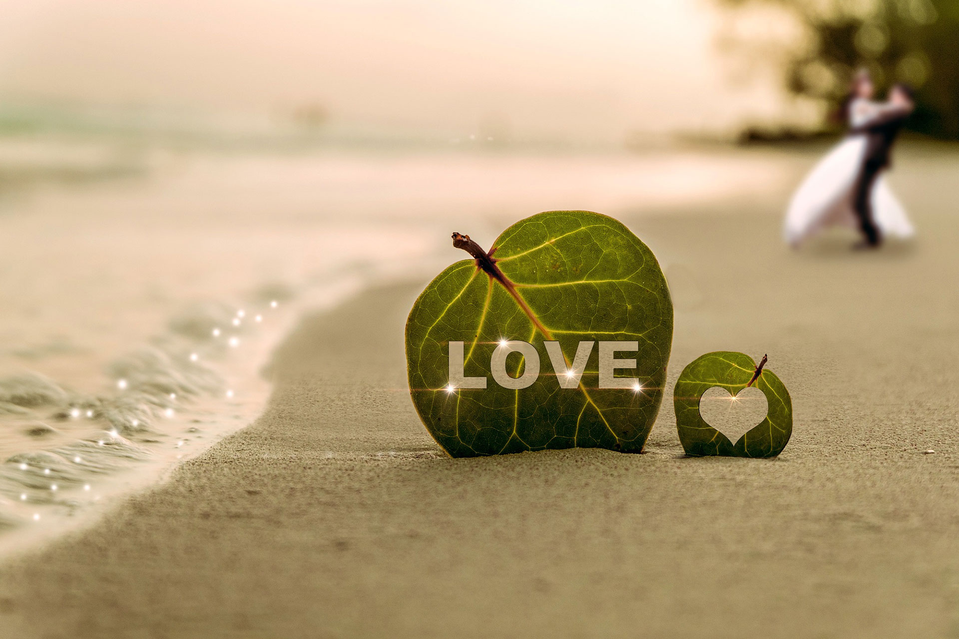 Preview for Beach-wedding-love-human-background-705e8
