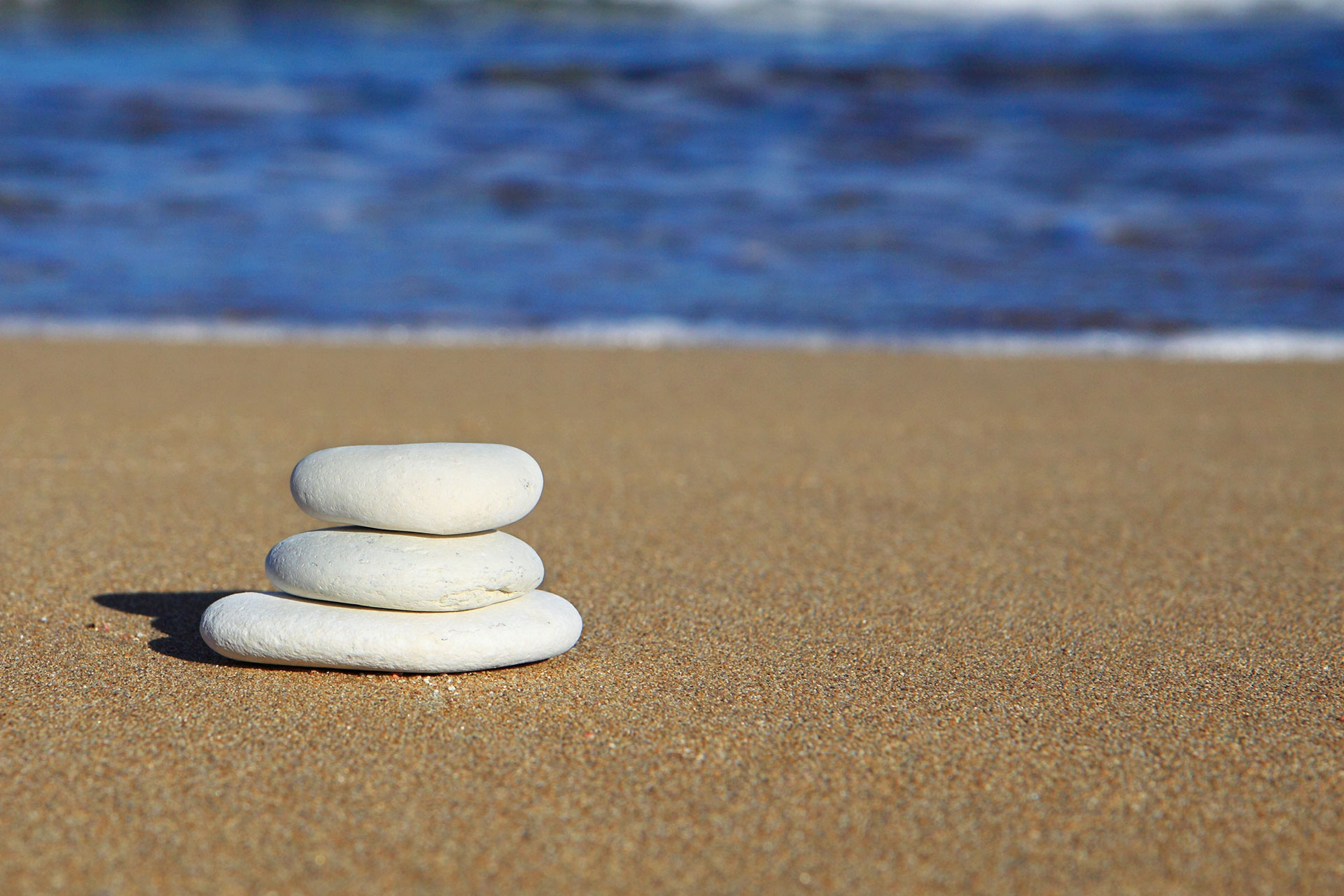 Preview for Serene-beach-stones-animal-background-11777