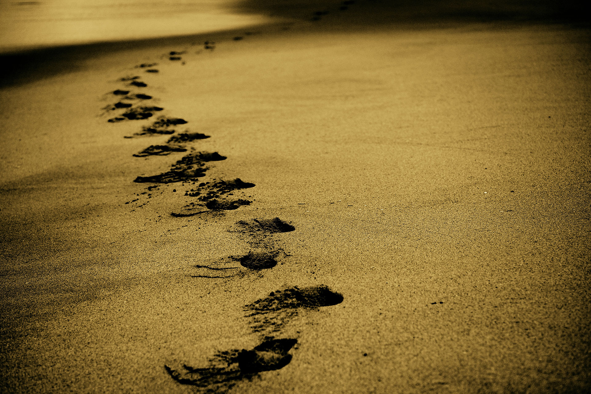 Preview for Footprints-in-the-sand-background-c96ff