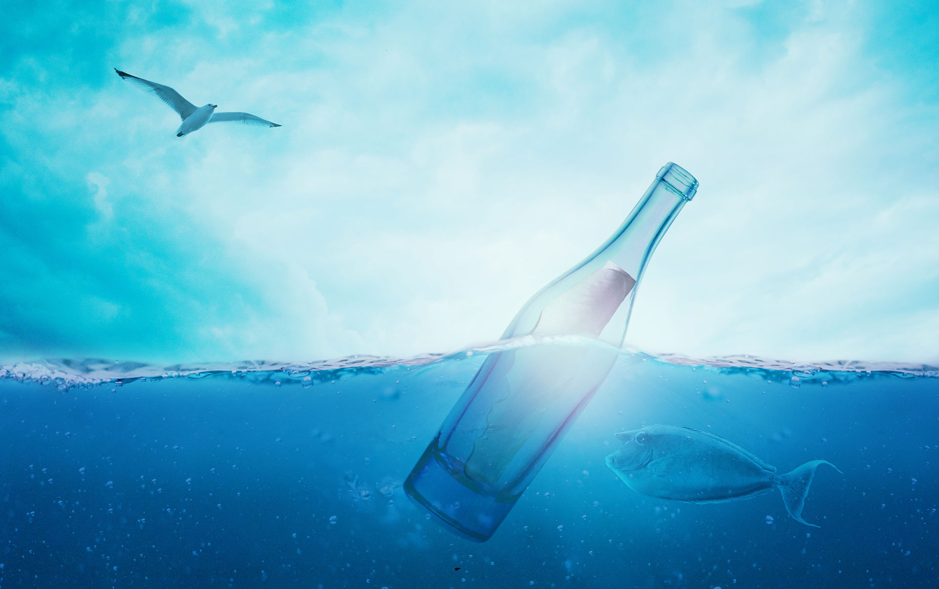 Preview for Underwater-message-in-a-bottle-animal-background-328e9