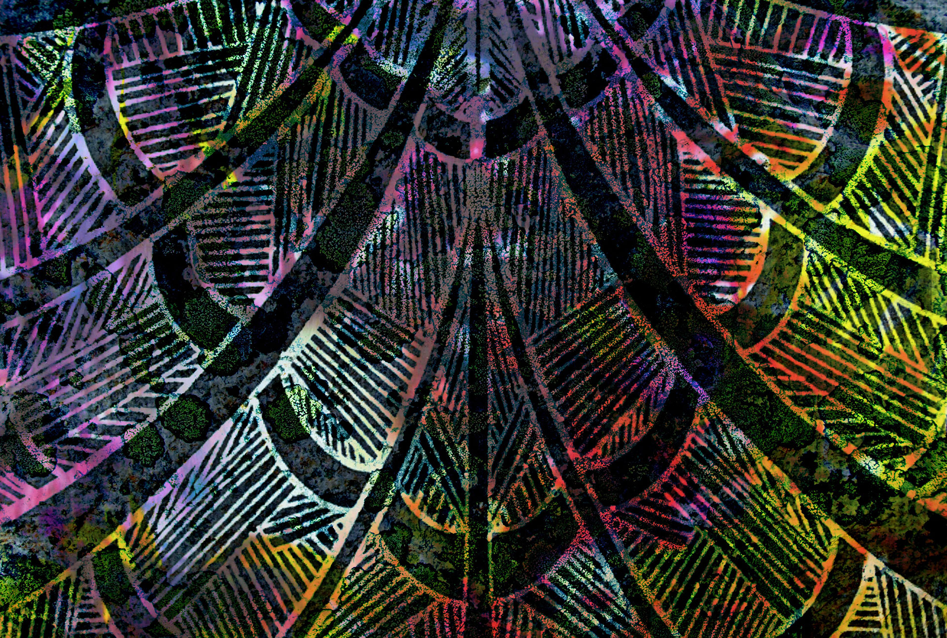 Thumbnail for Organic