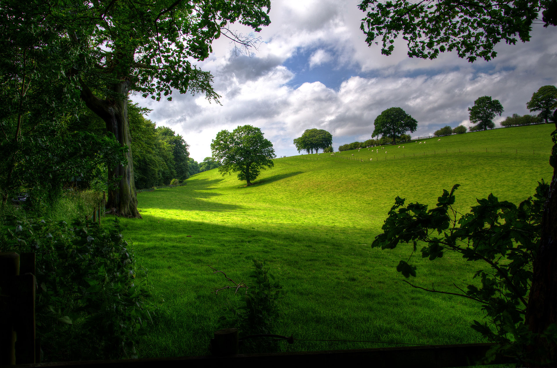 Preview for Serene-green-landscape-countryside-background-8ff40
