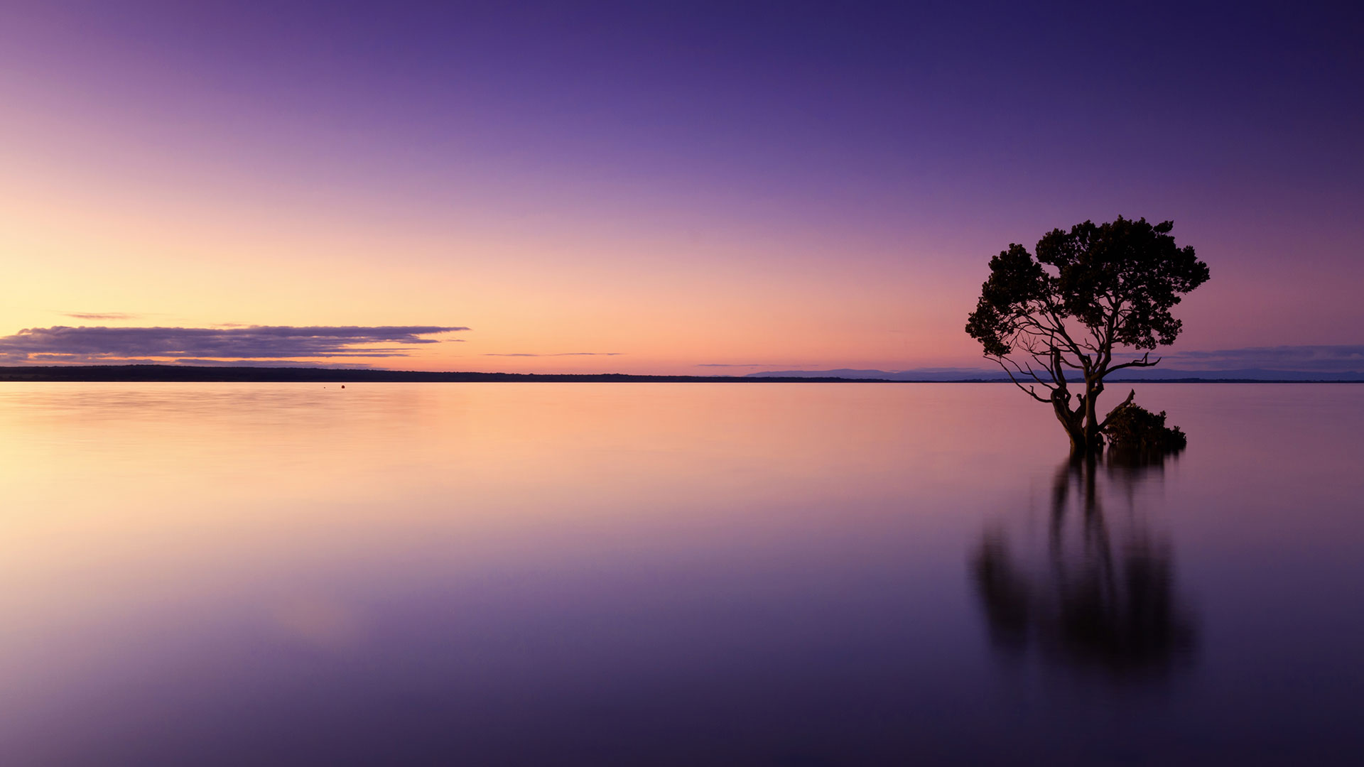Preview for Serene-lake-sunset-scene-horizon-background-cfe03