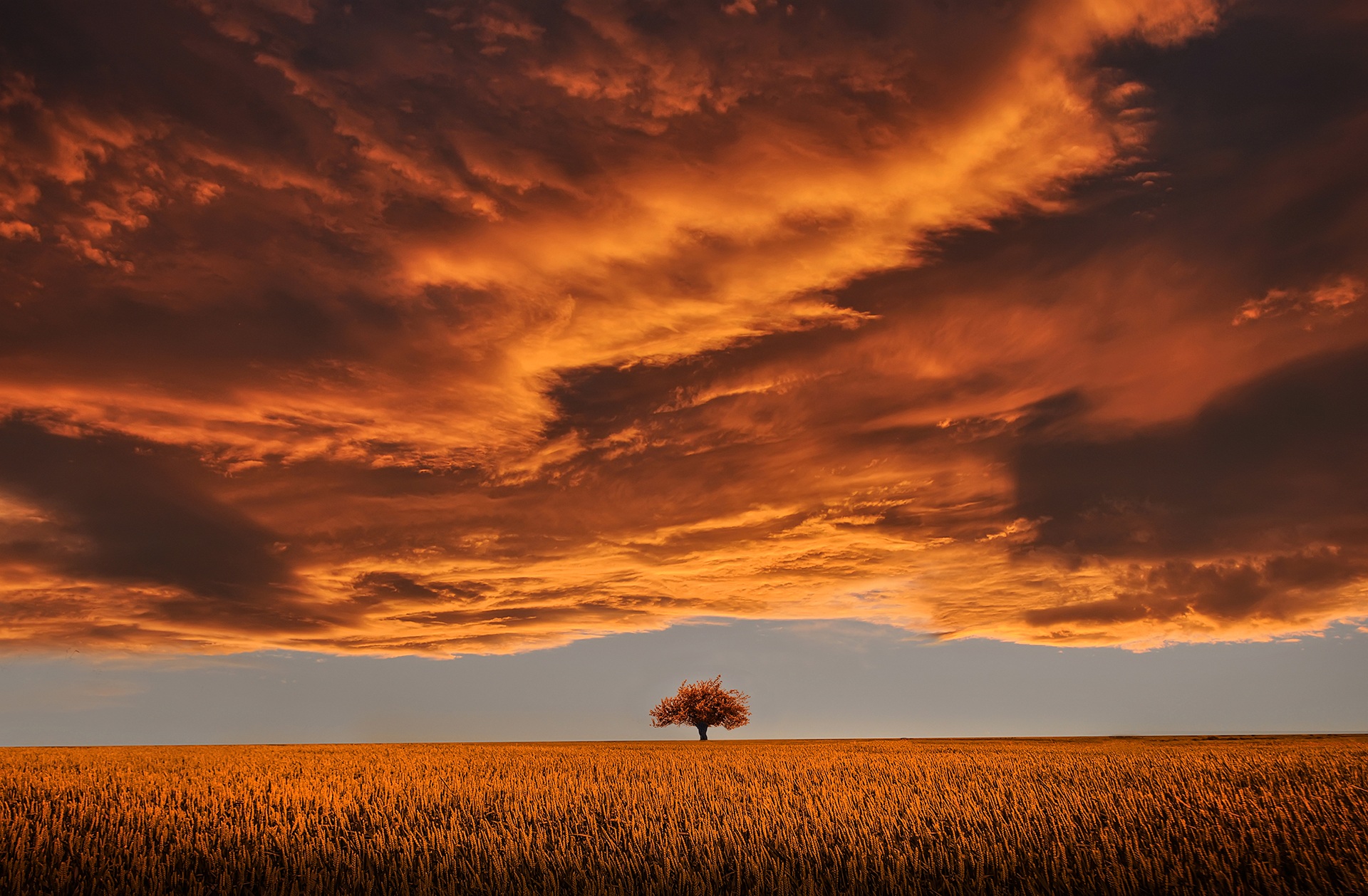 Preview for Serene-sunset-landscape-field-background-7384b