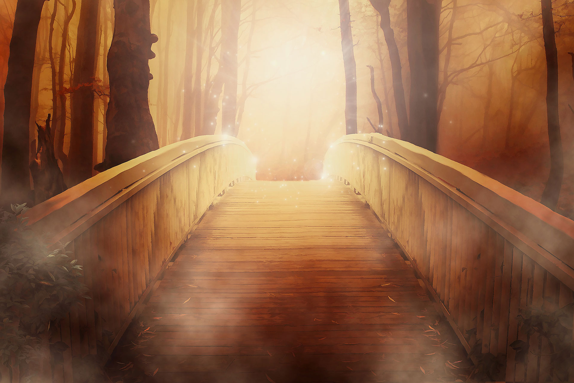 Preview for Mysterious-forest-pathway-indoors-background-d5c8a