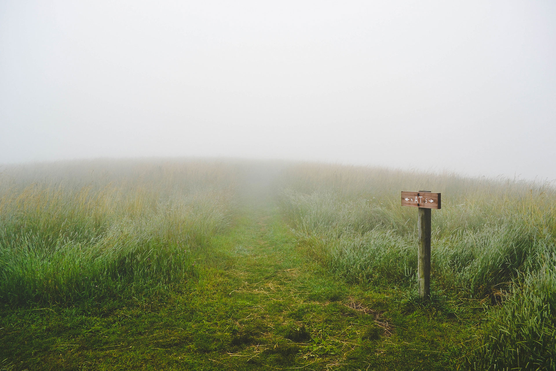 Preview for Misty-pathway-signpost-fog-background-0d7d2