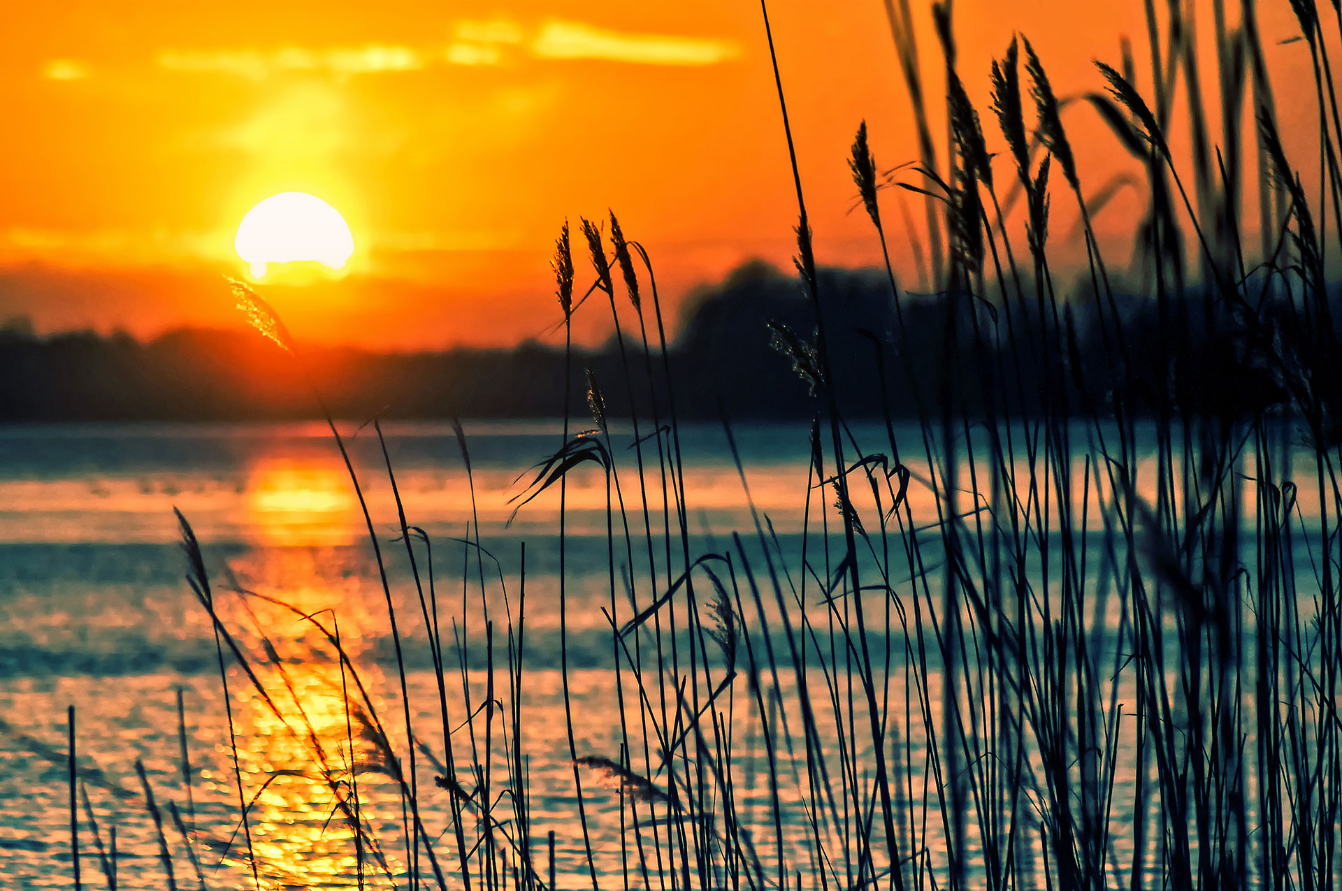 Preview for Serene-sunset-landscape-grass-background-22f4e
