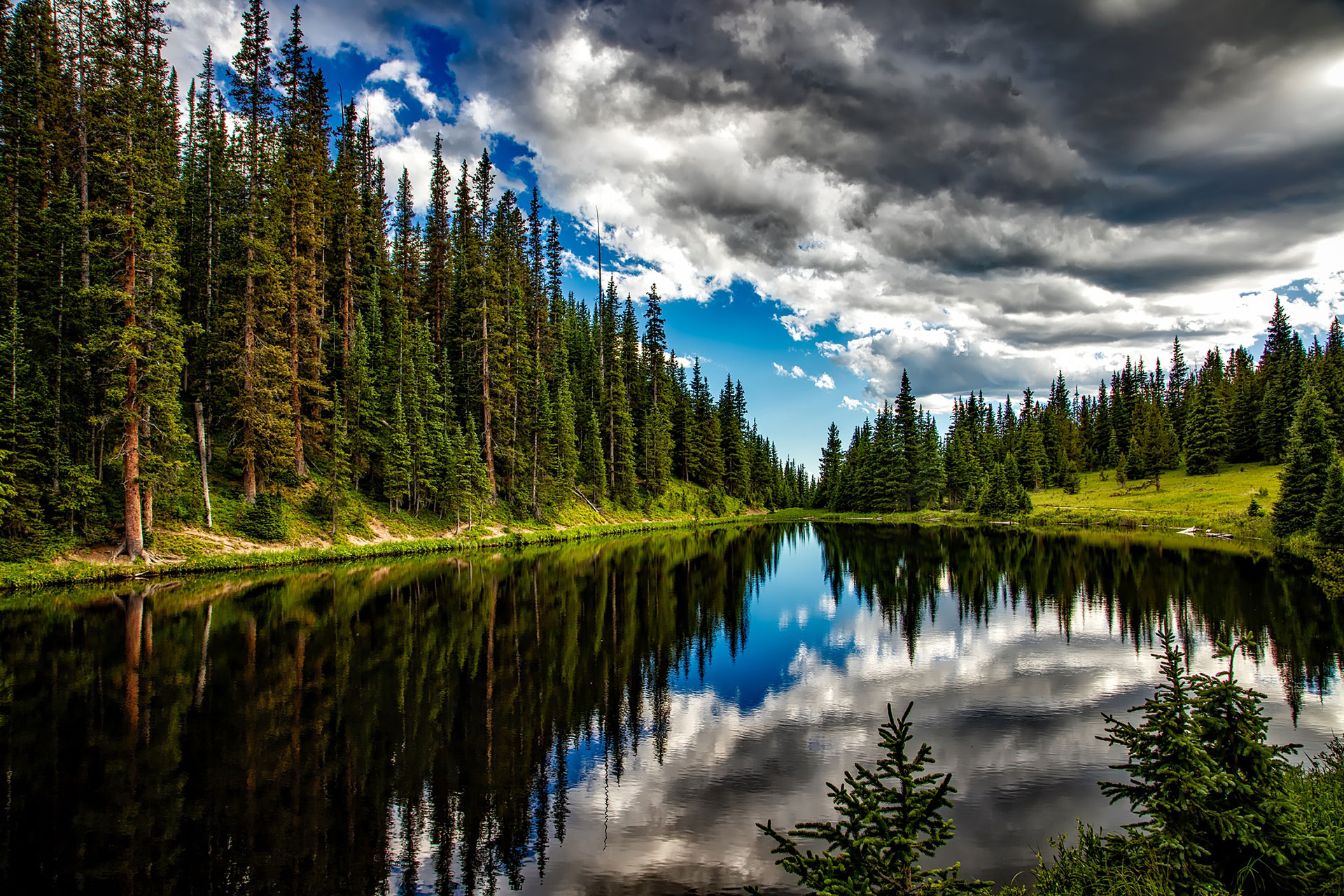 Preview for Serene-forest-lake-reflection-background-d26b5