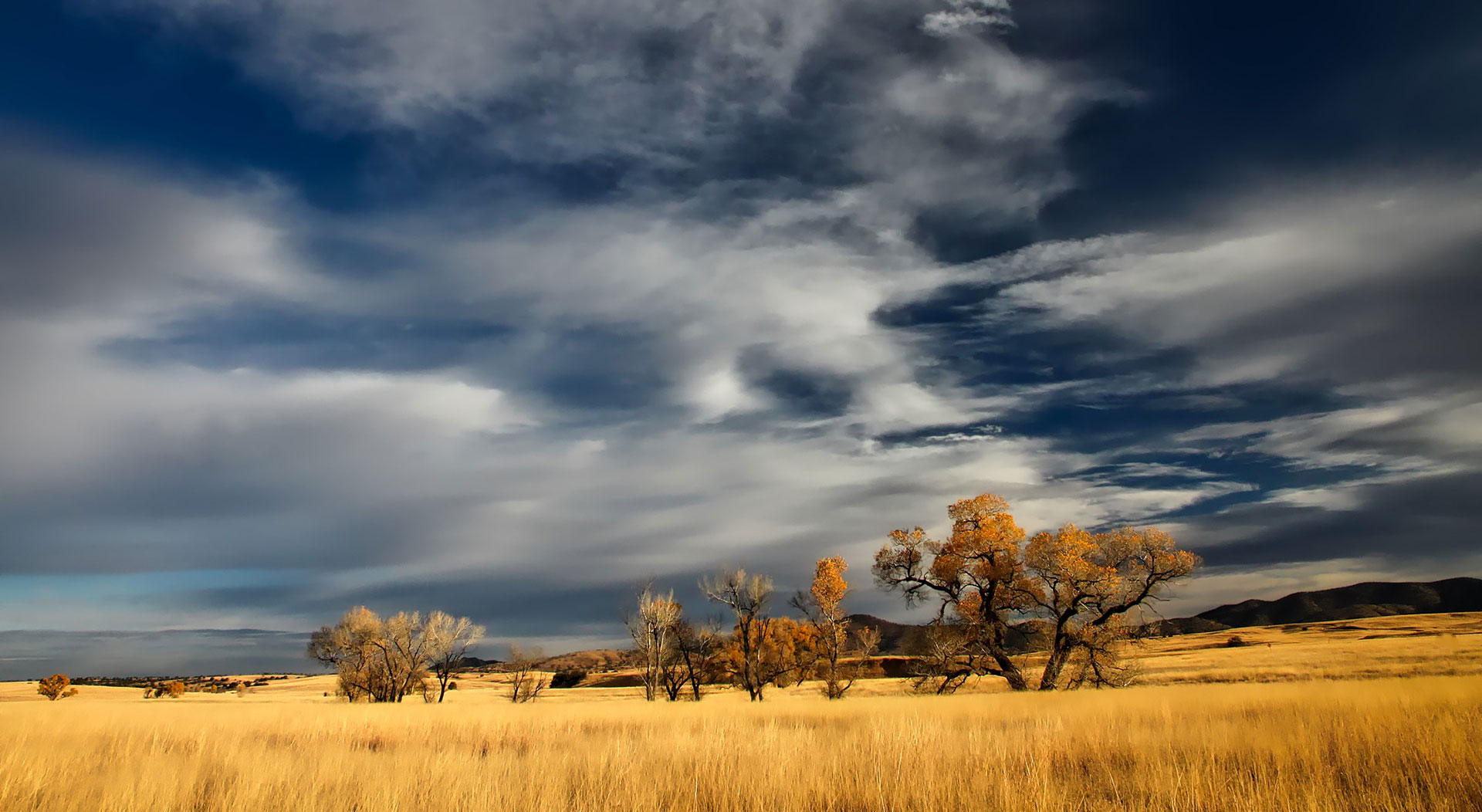 Preview for Autumn-landscape-golden-grass-field-background-beada