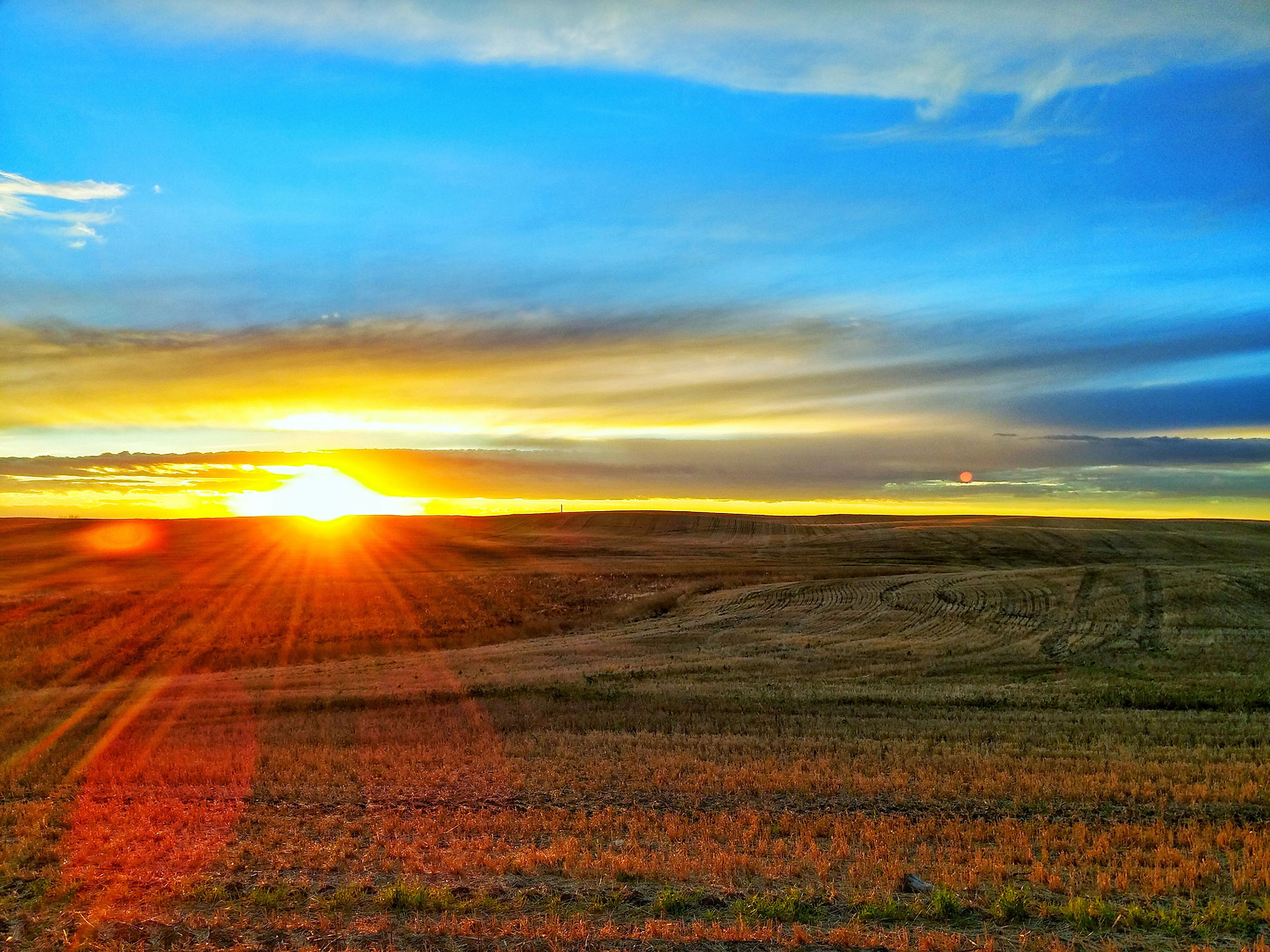 Preview for Serene-sunset-over-fields-background-d0241