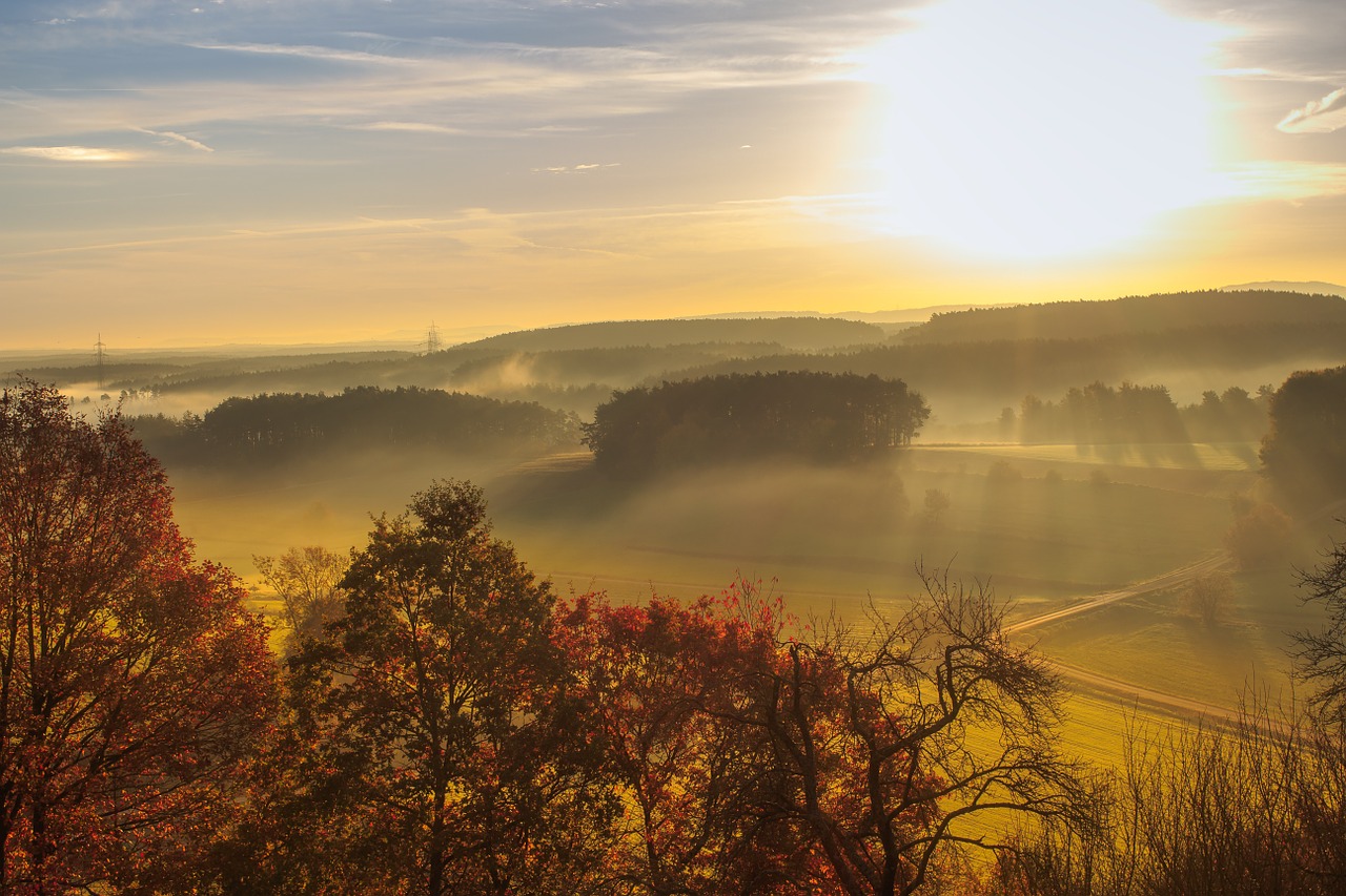 Preview for Misty-autumn-sunrise-landscape-background-9435f