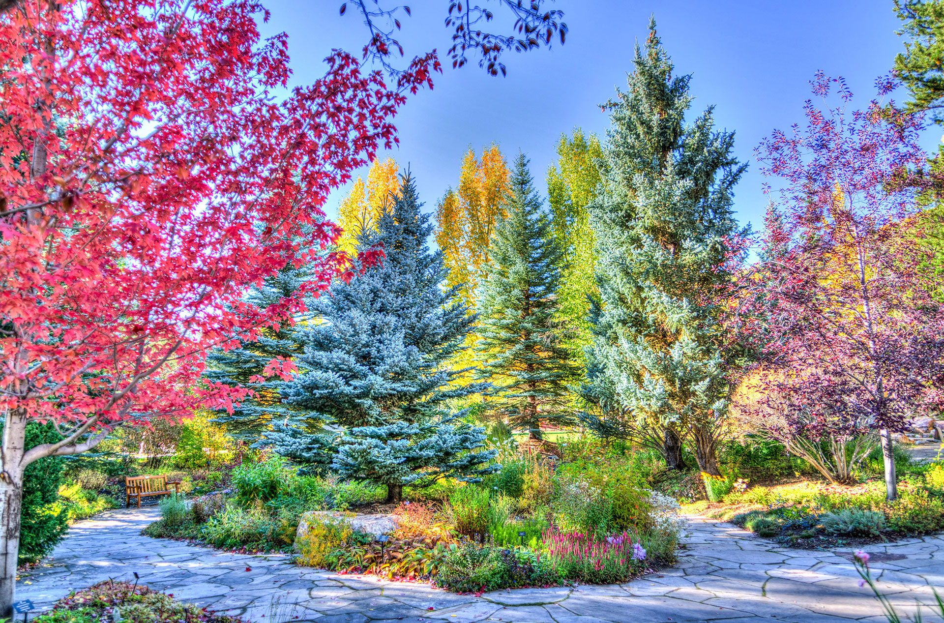 Preview for Autumn-garden-scene-fir-background-7fef9