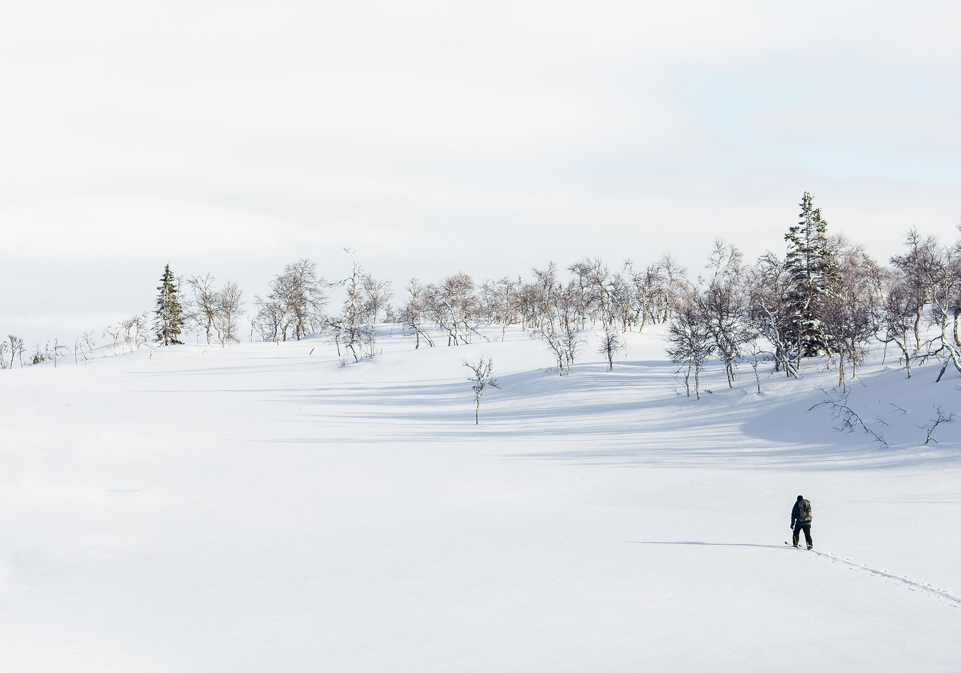 Preview for Serene-winter-landscape-human-background-c5827