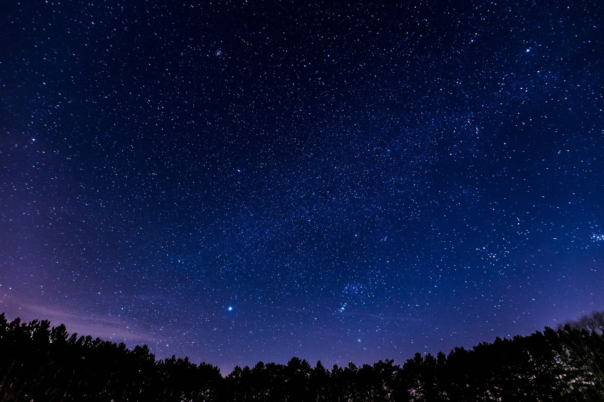 Preview for Night-sky-over-forest-astronomy-background-35e98