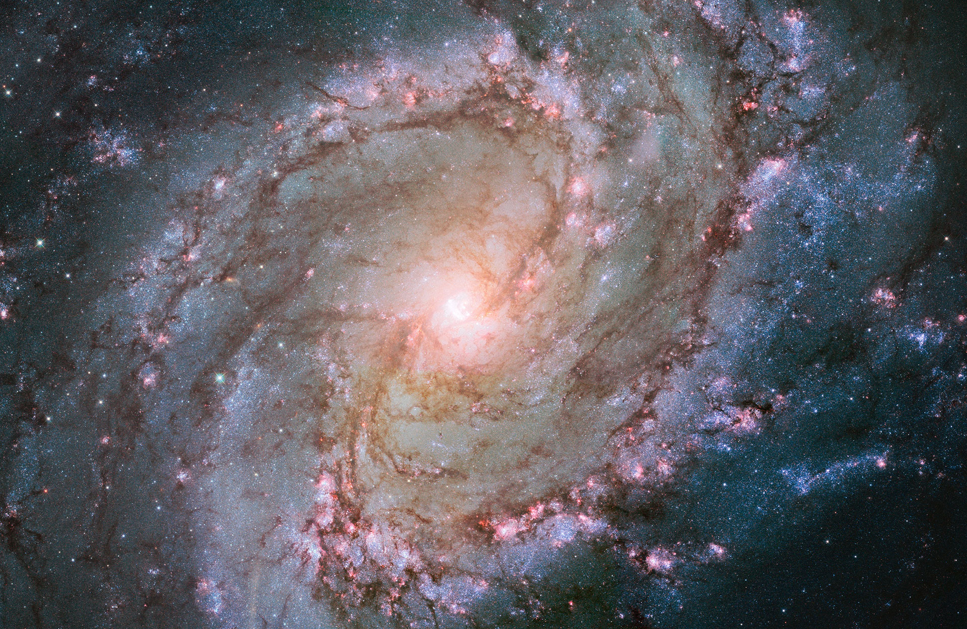 Preview for Spiral-galaxy-cosmos-astronomy-background-aa397
