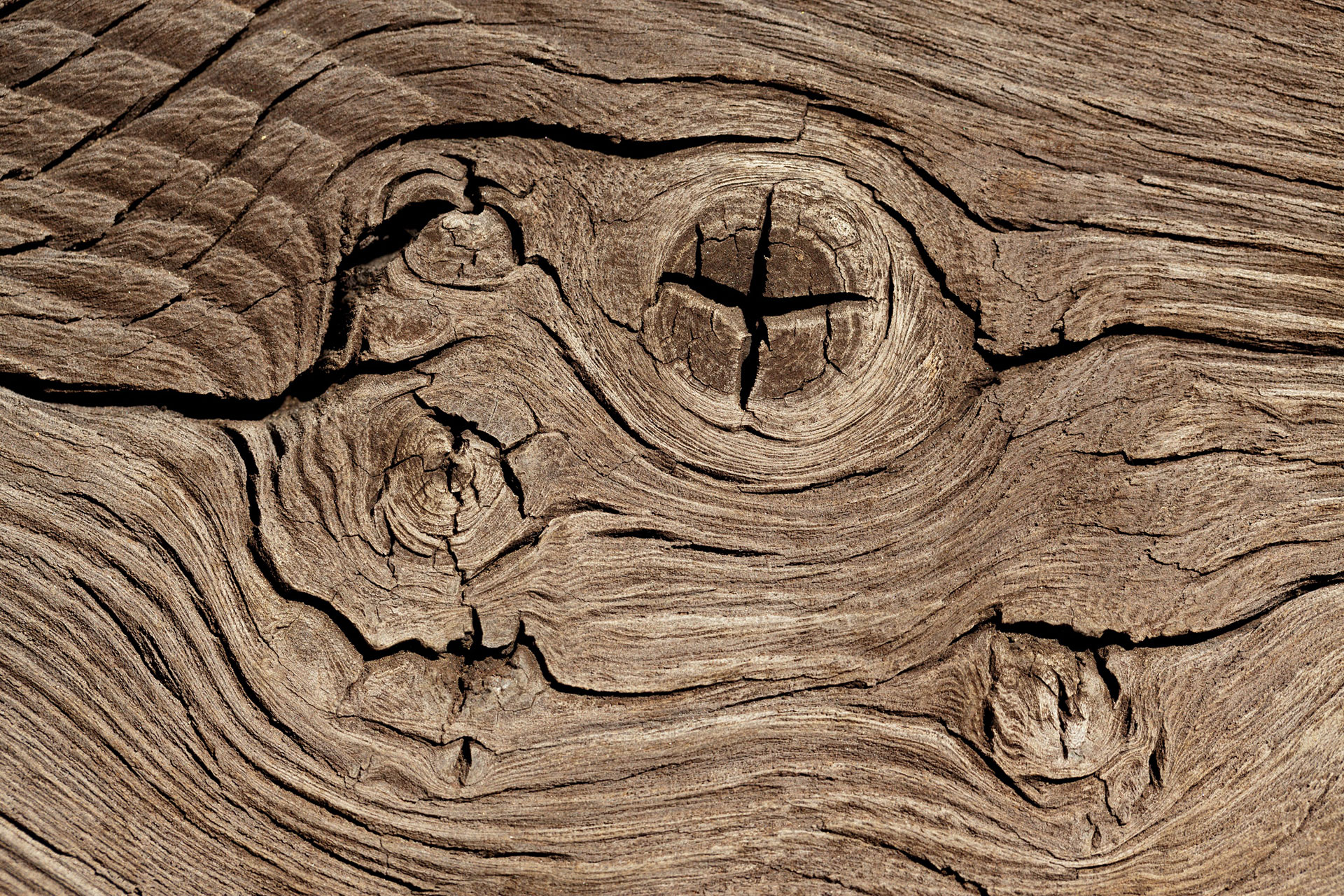 Preview for Wood-texture-details-plywood-background-45dac