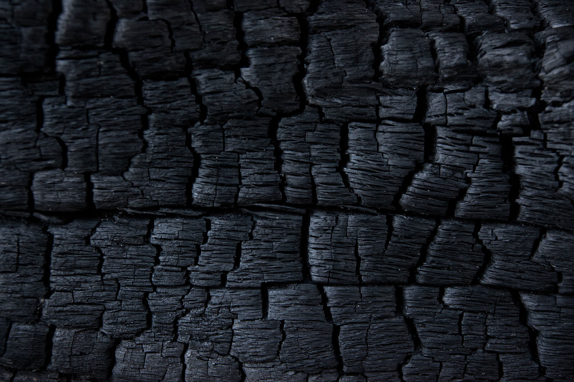 Preview for Charred-wood-texture-path-background-ef65d