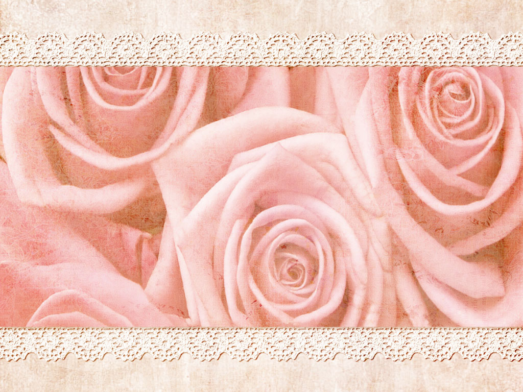 Preview for Pink-roses-floral-pattern-cushion-background-883af