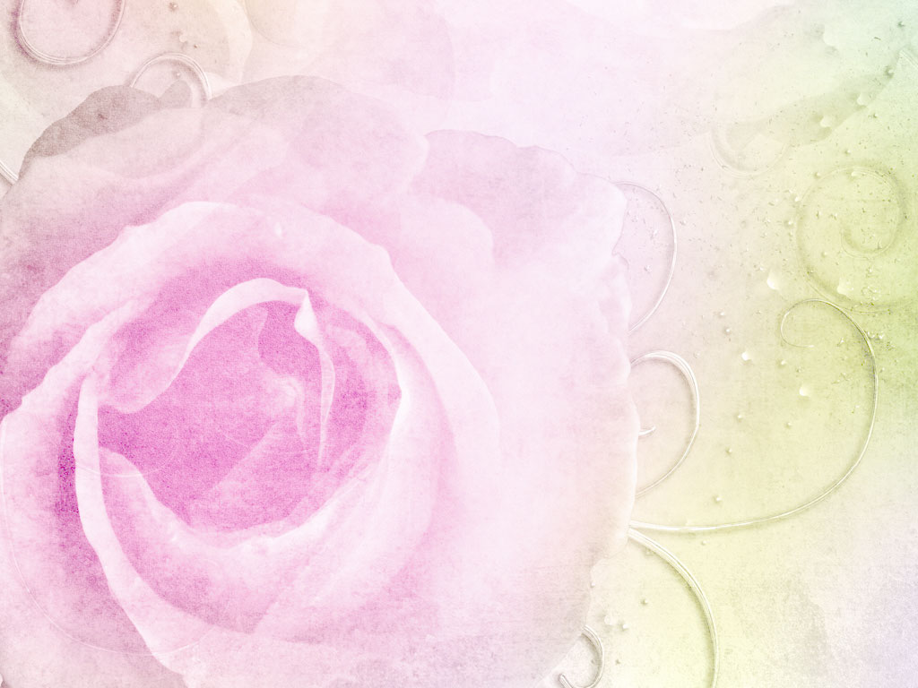 Preview for Soft-pink-rose-watercolor-background-blossom-0abb4