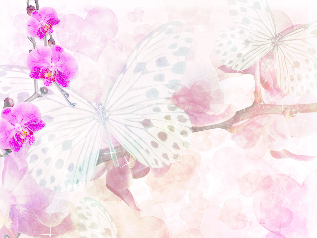 Preview for Butterfly-cherry-blossom-illustration-art-background-e4873