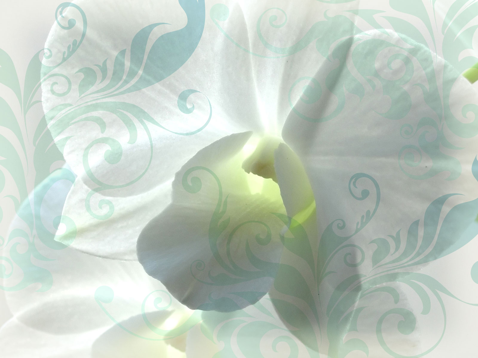 Preview for Elegant-floral-pattern-design-art-background-a91e9
