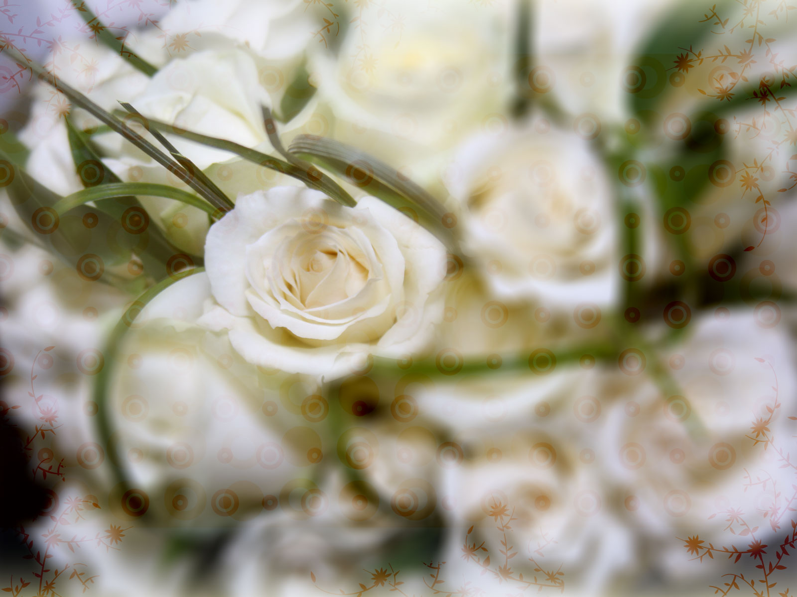 Preview for White-roses-bouquet-blossom-background-b6b28