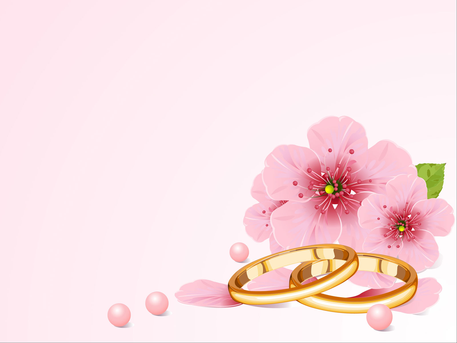 Preview for Golden-wedding-rings-flowers-accessories-background-e4879