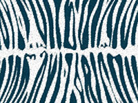 Dark blue zebra pattern on white background
