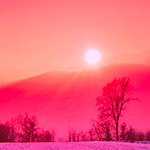 A lone tree stands in a snowy field against a backdrop of a red sky and a setting sun behind mountains.