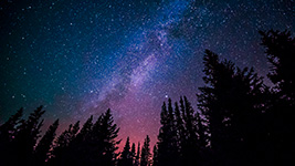 Milky Way galaxy visible above silhouetted evergreen trees at night