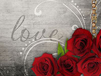 Red roses on a gray background with the word love