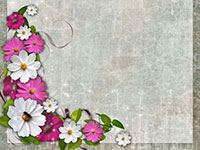 Floral template with pink and white flowers