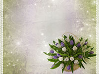 A bouquet of white and purple tulips in a wicker basket.