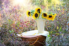 Sunflowers in a white vase on a wicker basket