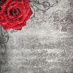 Red rose on a gray textured background with black swirls