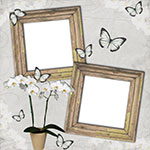 Two wooden picture frames with white orchids and butterflies