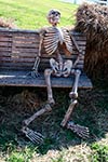 Skeleton sitting on a wooden bench