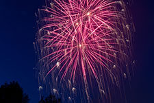 A bright pink firework exploding in the night sky