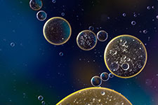 Oil droplets of various sizes floating in water against a dark blue background