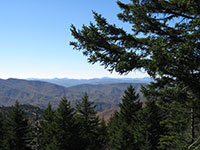 A scenic view of mountains and evergreen trees