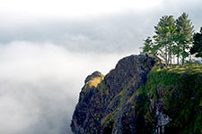 A rocky cliff with trees on top surrounded by mist