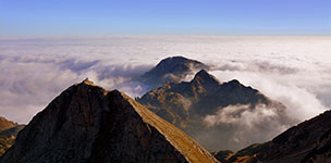 Mountain peaks above a sea of clouds