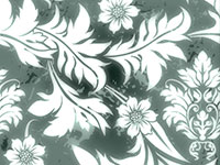 Floral pattern with white flowers and leaves on a green background