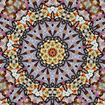 A colorful, symmetrical kaleidoscope pattern with a central orange and red design.
