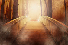 A wooden pathway through a dense forest with a bright light at the end